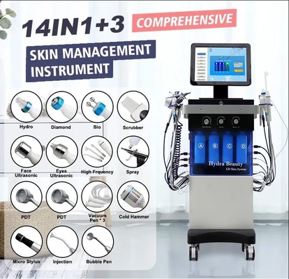 Akne Tedavisi İçin Ac110v H2o2 Yüz Makinesi