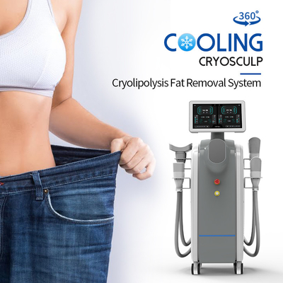 Cryo 360 Cryolipolysis Makinesi Yağ Donma Vücut Şekillendirme Kilo Kaybı