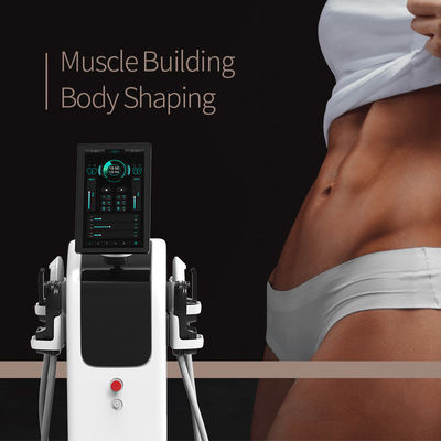 Rf Biphasic Wave Ems Salon için Heykel Makinesi