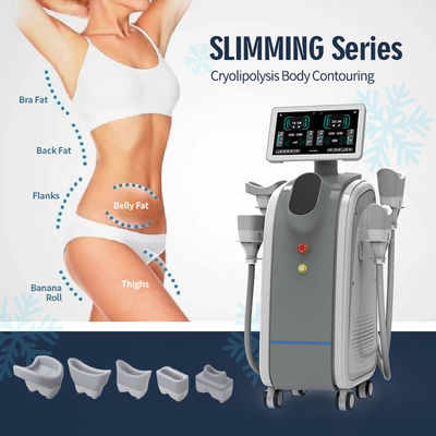 Odaklanmış Teknoloji Yağ Dondurma Vakum İndirim için Cryolipolysis Makinesi