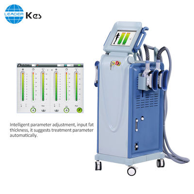 Selülit Azaltımı / Kilo Kaybi için Cryolipolysis Yağ Dondurucu Zayıflama Makinesi